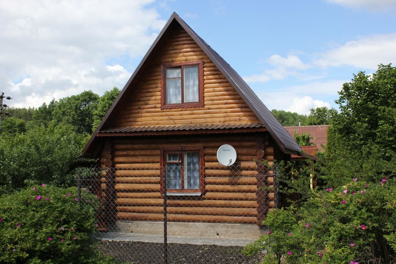 Дома для отпуска Дачный дом Избушка Браслав